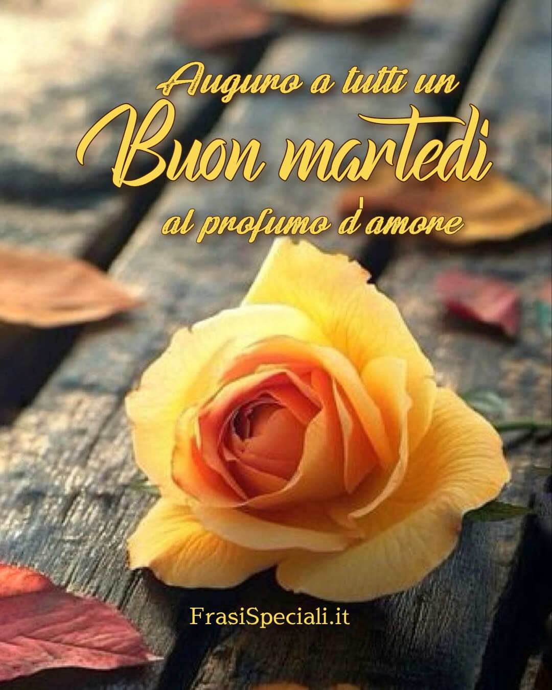Auguro a tutti un buon martedì al profumo d'amore