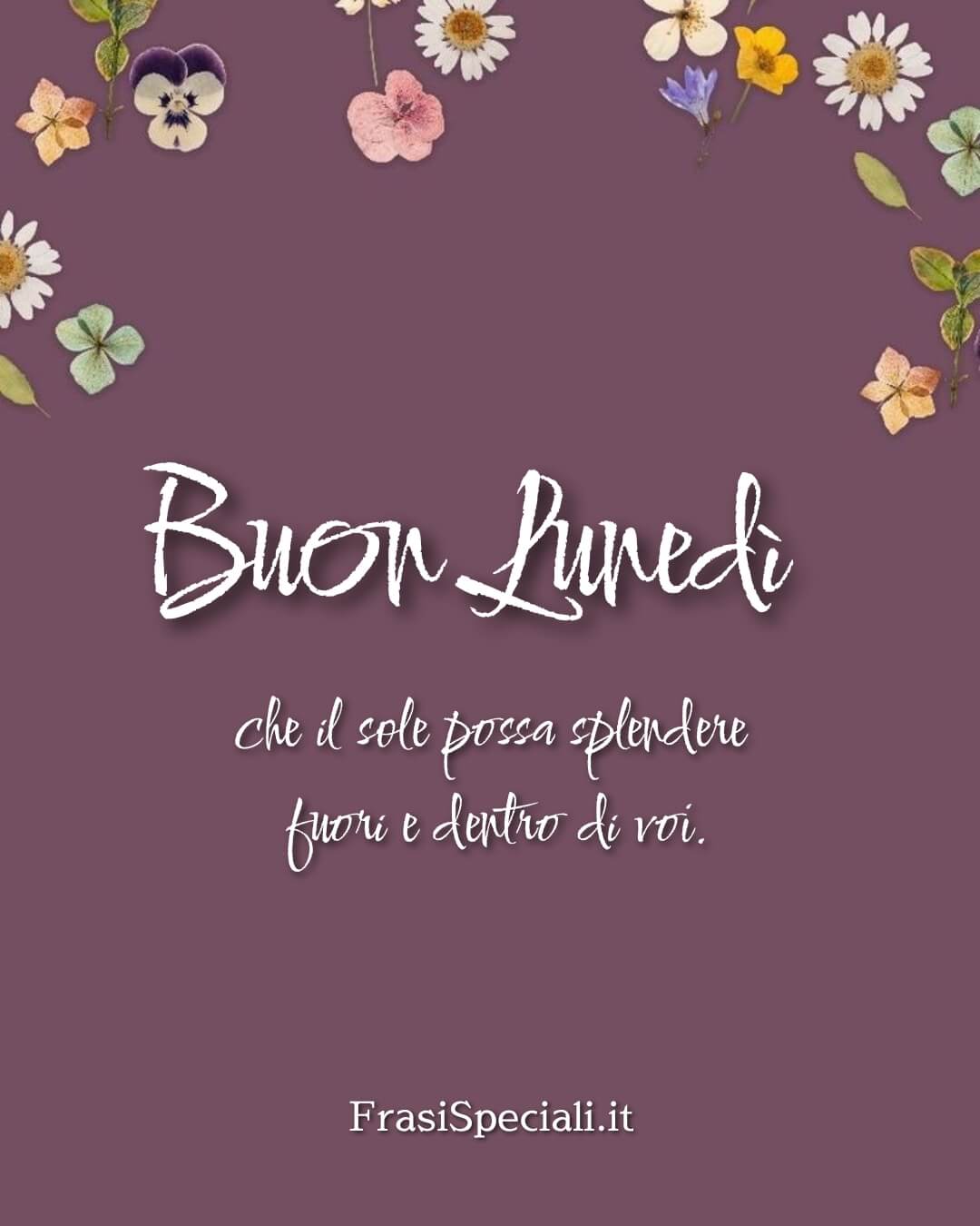 Che il sole possa splendere fuori e dentro di voi.
Buon lunedì