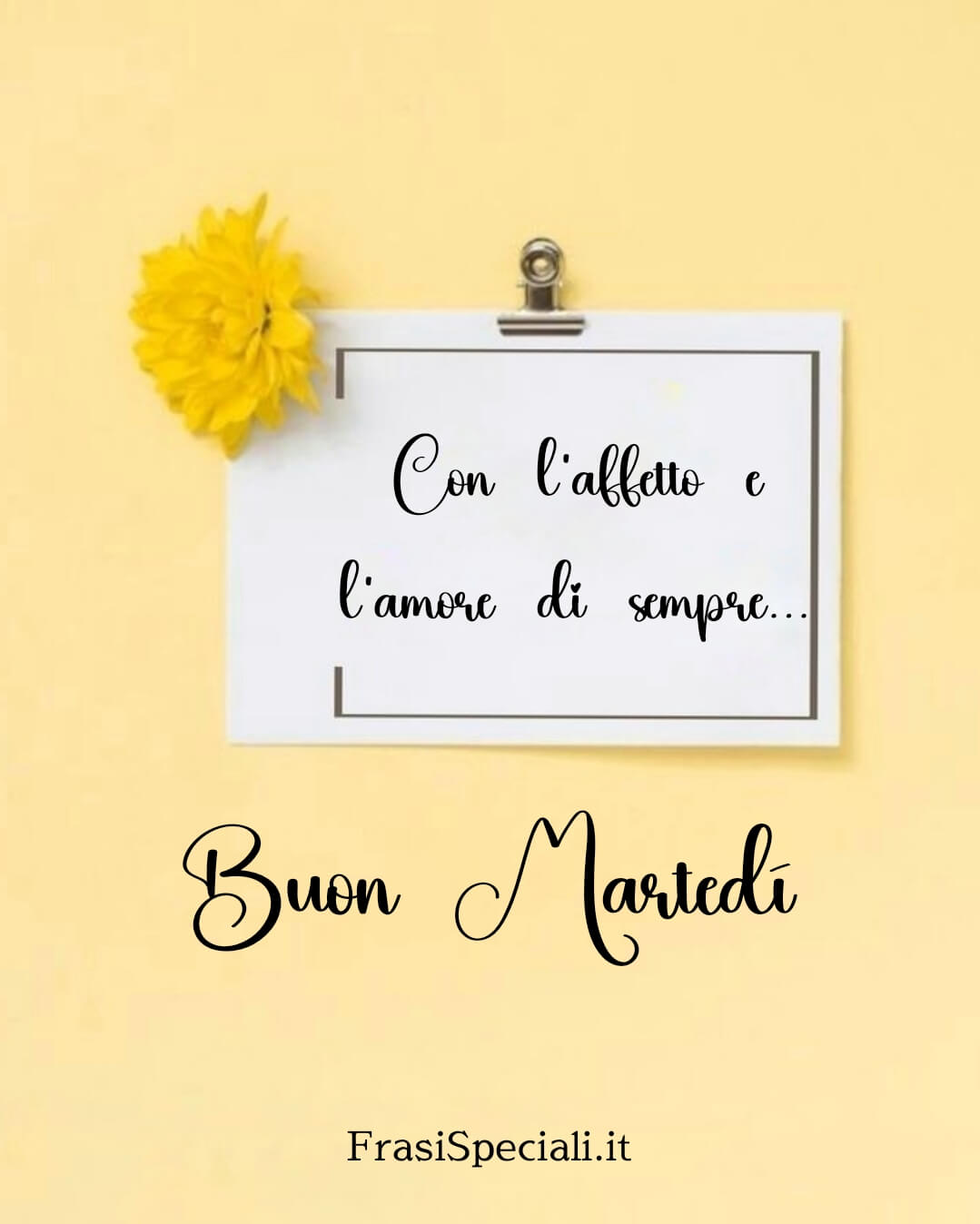 Con l’affetto e l’amore di sempre.
Buon martedì