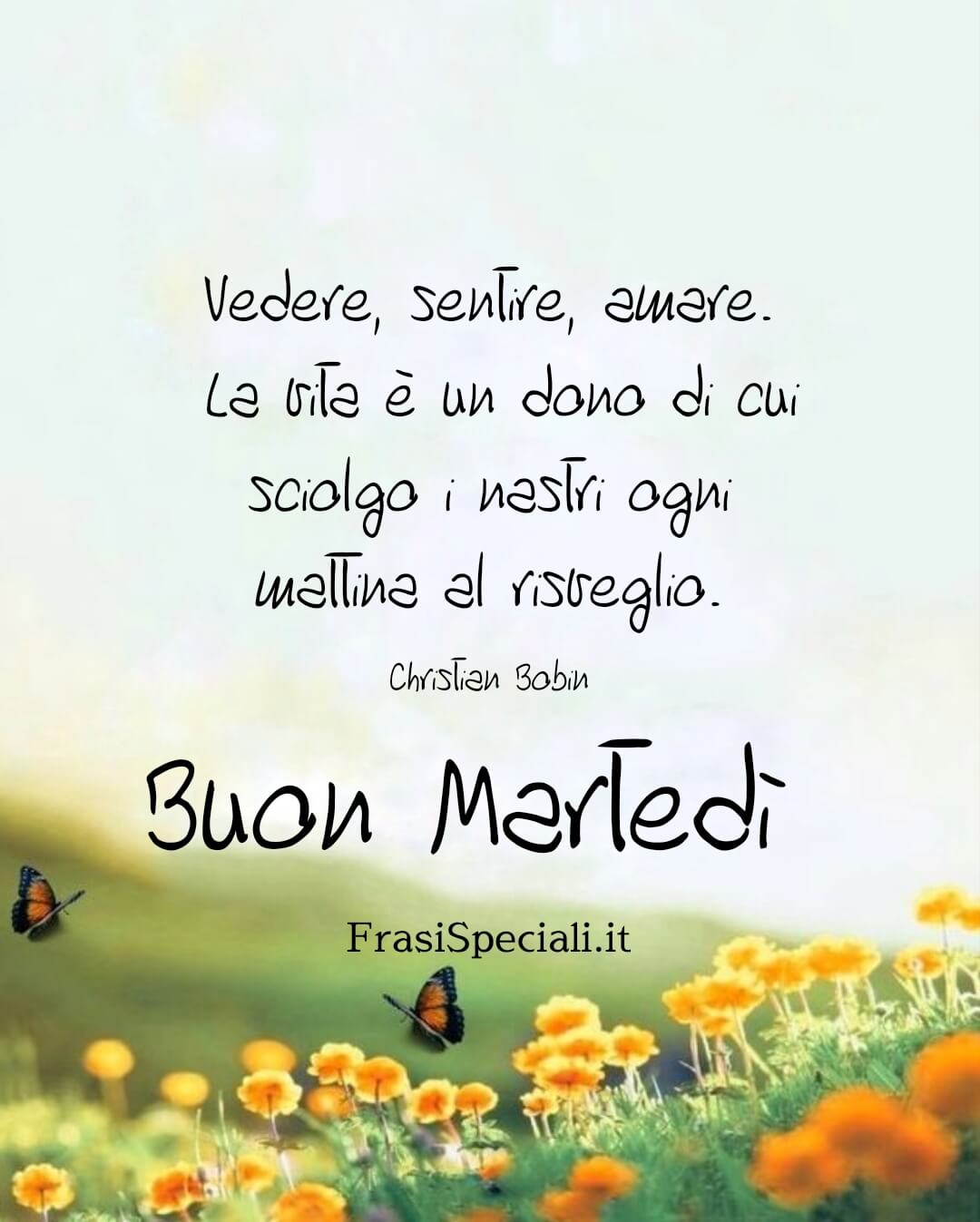 Vedere, sentire, amare. La vita è un dono di cui sciolgo i nastri ogni mattina al risveglio.
Buon martedì