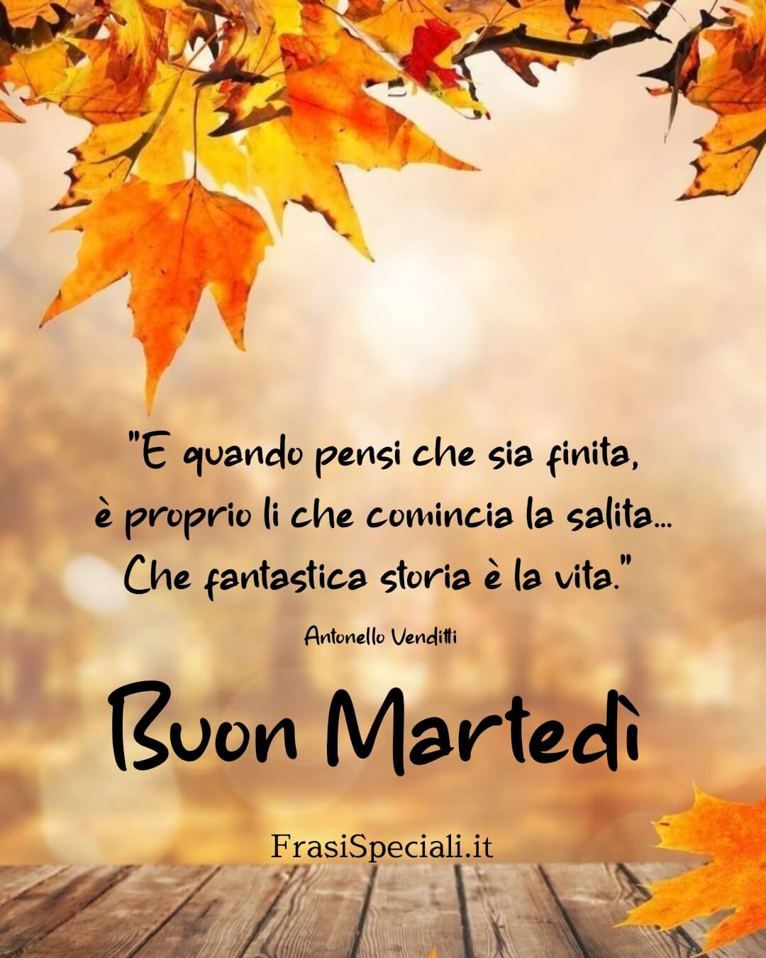 E quando pensi che sia finita, è proprio lì che comincia la salita.
Che fantastica storia è la vita.
Buon martedì